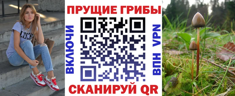 Купить  Кинешма  Псилоцибиновые грибы Cubensis 